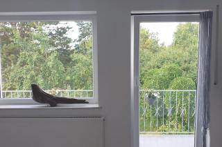 A fränkisch Häusla, ganze Doppelhaushälfte - Nuremberga - 6