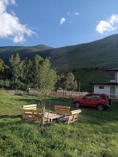 Cottage Natali - Kasbegi - 4