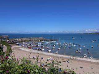 Bay View 27 - New Quay - 8