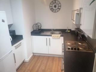 Cozy London Apartment great for Professionals - Londra - 5