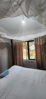 Chinyonga Guesthouse - 5