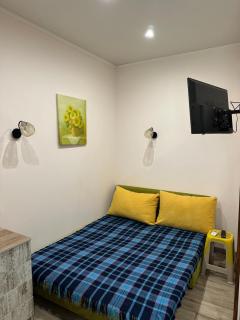 Софиевская - 3