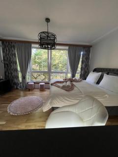 Central Botanic Apartment - Sarajevo - 2