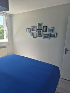 le blue - T3 à Nantes - Comme à la maison - Nantes - 2