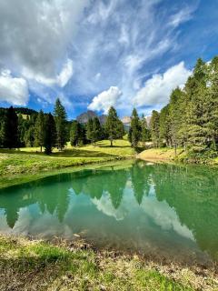 Apartments Praverd nelle Dolomiti - Santa Cristina Gherdëina - 7