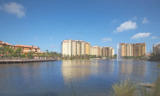 Beautiful Resort in Bonnet Creek 1BD Deluxe near Walt Disney World - 9