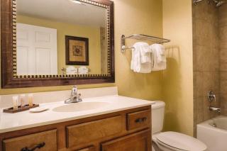 Beautiful Resort in Bonnet Creek 1BD Deluxe near Walt Disney World - 4