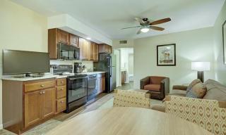 Beautiful Hotel in Durango 1BD - 9