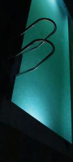 PRAVESH VILLA with Private Swimming Pool - 8