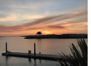 Beautiful Resort in Harbortown Point 1BD near Marina Park - 3