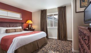 Beautiful Resort in Steamboat Springs 1BD at World Class Skiing and famed Champagne Powder - 8