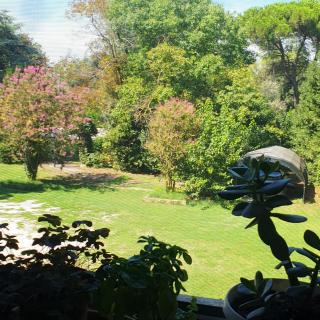 La DOGARESSA - Porto Viro - 8