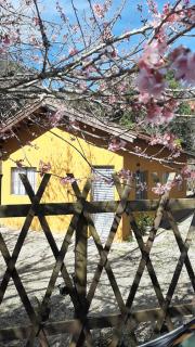 Casa Kiiro, um ambiente tranquilo e de sossego. - Santo Antônio do Pinhal - 9
