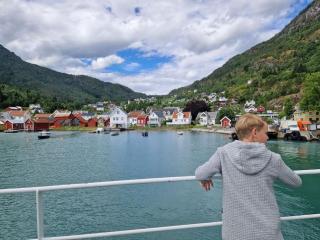 Feriehus ved fjorden i Solvorn - Luster - 3