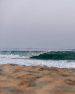 Bambú Corner - Casa Consciente - 5