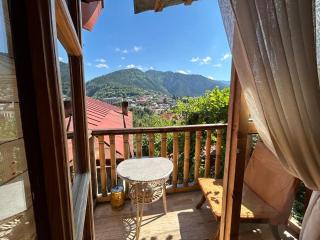 Mountain garden - Borjomi - 3