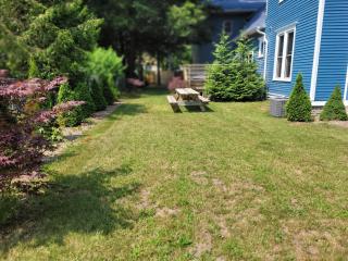 The Glarum House - Gorgeous Historic Home & AC! - Elberta - 2