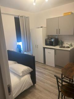 Cosy studio flat in Teddington - Teddington - 6