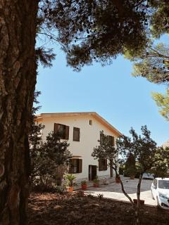Villa Shanti a Romitello - "RUSTIC" & "ETHNIC" apartments - Borgetto - 0