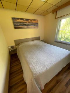 Grüner Bungalow am Kiebitzsee - Falkenberg - 8