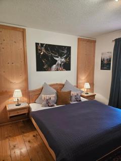 Apartment Wandegg im Bergsteigerdorf Ginzling Mayrhofen - Mayrhofen - 0