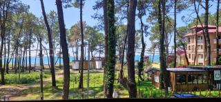 Beachfront 4-bedroom home in Kaprovani pine forest - Ureki - 9