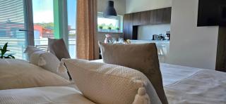 Apartment Holata 401 - Hradec Králové - 1