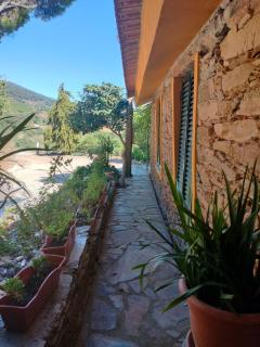 Quinta de Canelas - Torre de Moncorvo - 7