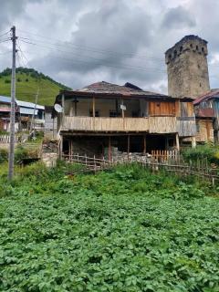 guest house "BETQIL" adishi - Adishi - 6