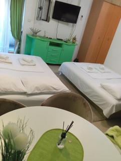 Studio Đurašević Vrnjačka Banja - Vrnjačka Banja - 6