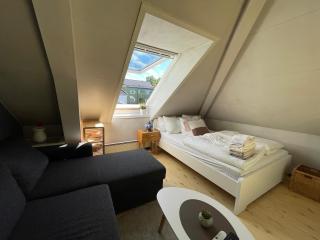 City View & Central Location - Trondheim - 2