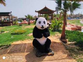 Chalet blue bay asia شاليه عائلات فقط - 6