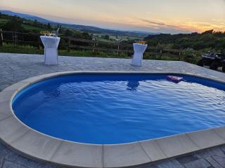 Kuća sa bazenom za odmor i domjenke MARIS - 5