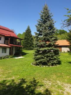 Casa Voinescu Quiet place close to Bran Castle - 9