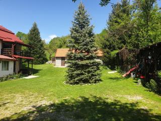 Casa Voinescu Quiet place close to Bran Castle - 2