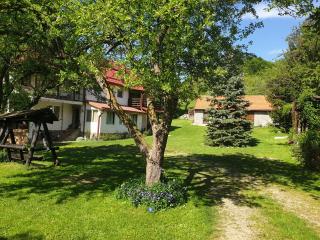 Casa Voinescu Quiet place close to Bran Castle - 5