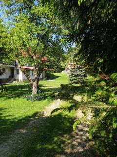 Casa Voinescu Quiet place close to Bran Castle - Bran - 0