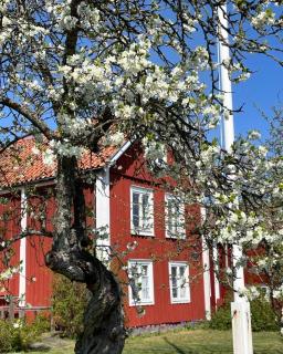 Kristianopel Gästgifveri - 5