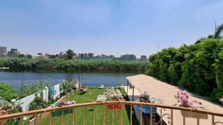 pansy - Il Cairo - 7
