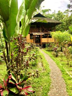 Casa Prana, Termales, Nuqui - Nuquí - 0