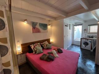 Studio hibiscus 150 m des plages orient bay - Orient Bay - 4