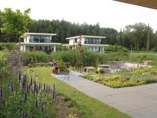 Villa on the water near the Veluwemeer - 6