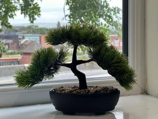 Studio Flat in Bolton - Bolton - 4