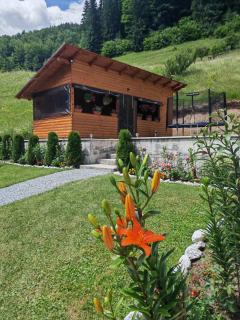Cabana Lazea - Gârda de Sus - 8