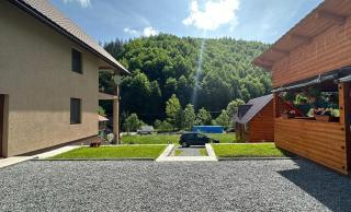 Cabana Lazea - Gârda de Sus - 7