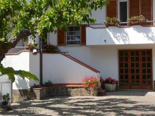 La Quercia - Altavilla Silentina - 7