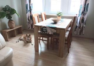Apartament Shiba - Danzig - 8