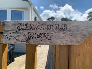 Seagulls Rest - Newport - 9