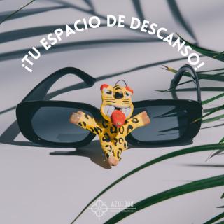 Azul 308 - Teziutlán - 0