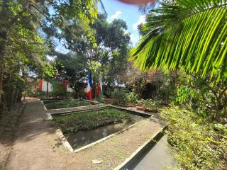 Louisiana Guest House - - 6